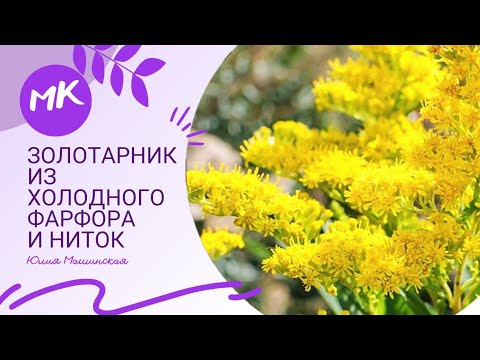 Видео мк Золотарник из холодного фарфора и ниток