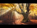 3 Hours Relaxing Piano Music - Sleep Music, Autumn Photos, Relaxing Music, Stress Relief (Lucy)