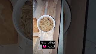 معانات سجن اليونان(هجرة من تركيا )?