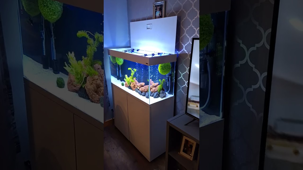 AquaEL OptiSet 200 Litre Aquarium & Stand  