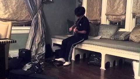 Dante electric violin how to save a life the fray