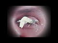 Darko Duilo - Gone (2021)