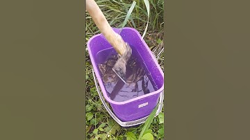 How to Fix a Loose Axe Head Easily