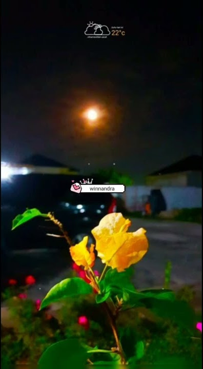 Story Wa UNGU - Sepi Gelisah #shorts #ungu