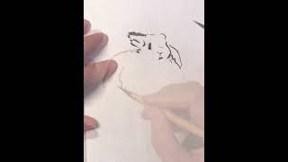 #drawing #bunny #ink #art