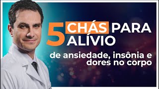 CHÁS: Guia Rápido para Alívio da ANSIEDADE, Estresse e Insônia