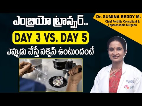 Embryo Transfer in IVF