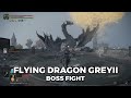 Elden Ring - Flying Dragon GreyII Boss Fight (Comet Azur Cheese)