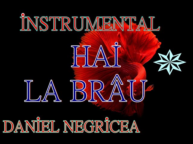 █▬█ █ ▀█▀ 2023 -BRAUL LUI DANCIU DANIEL NEGRICEA class=