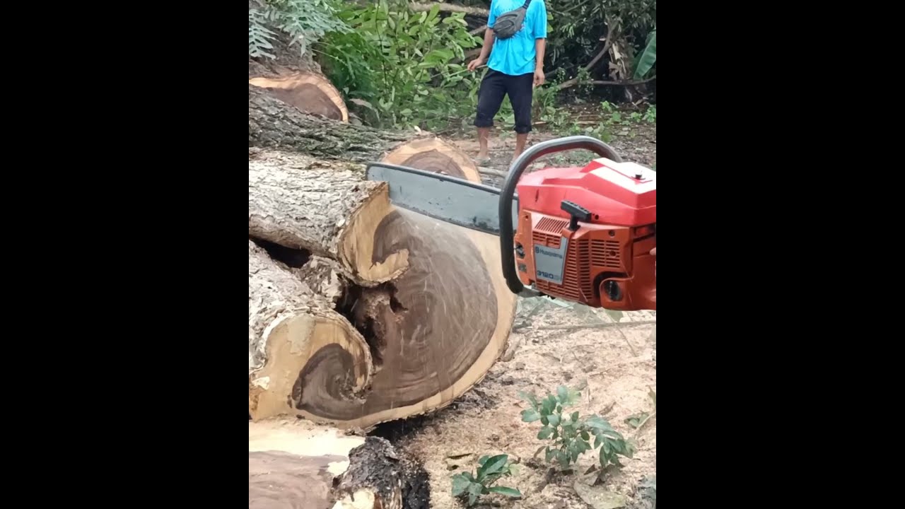 great saw 👍👍👍