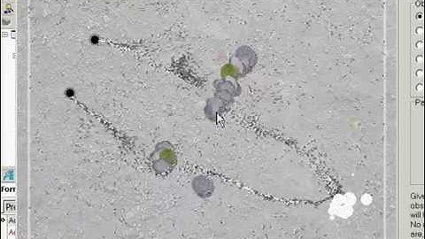 Ants Colony Simulation AI game experiment