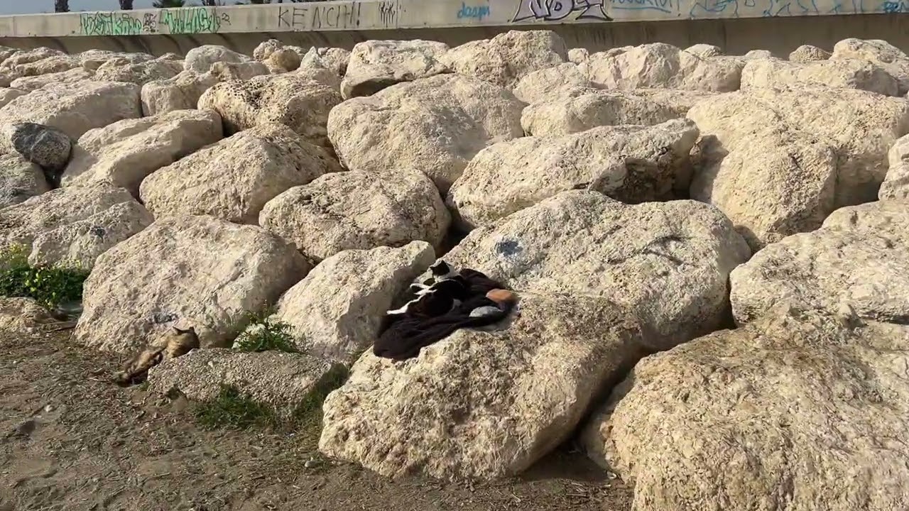 MALAGA LIVE (February 27, 2026)