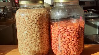 How to Ferment Beans | Complete Guide, Your Questions Answered!