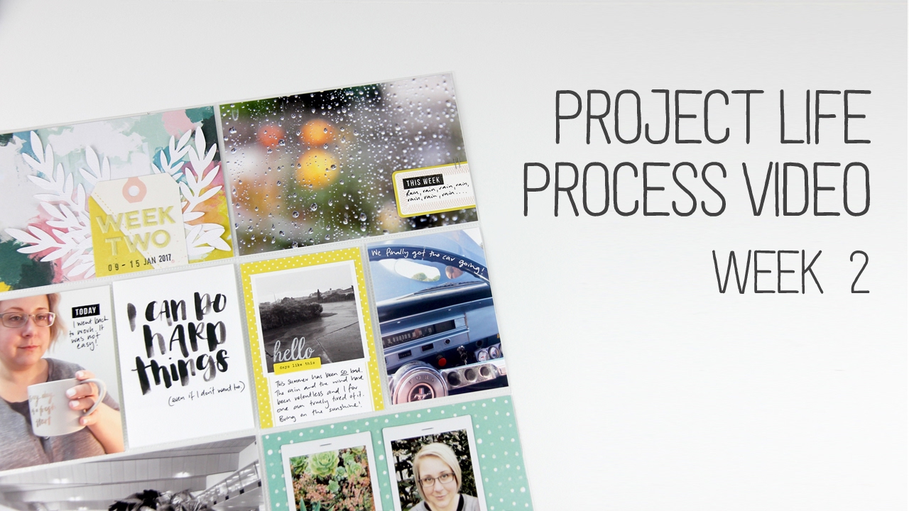 Week 2 Project Life Process - YouTube