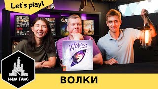 Играем в настольную игру Волки! Хайповая новинка на контроль территорий.