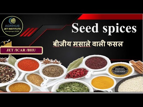 Seed spices crops || बीजीय मसाले वाली फसलों का