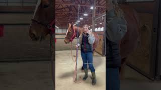 When She Bites The Lunge Whip At The End