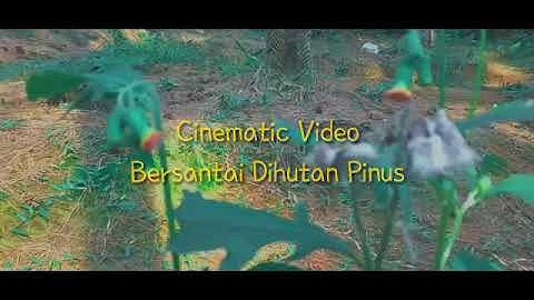 Cinematic video || Bersantai di hutan pinus ujung aspal