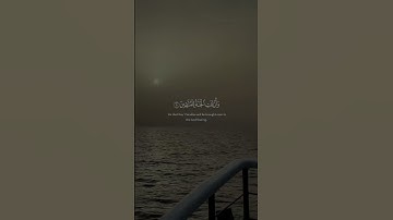 #اكتب_شي_تؤجر_عليه #قرآن #قران_كريم #تلاوة_خاشعة #ياسر_الدوسري #راحة_نفسية