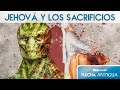 JEHOVÁ y los sacrificios de sangre