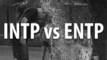 Do INTPs like ENTPs?
