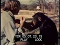 Human and animal communication with Washoe the chimp in 1983