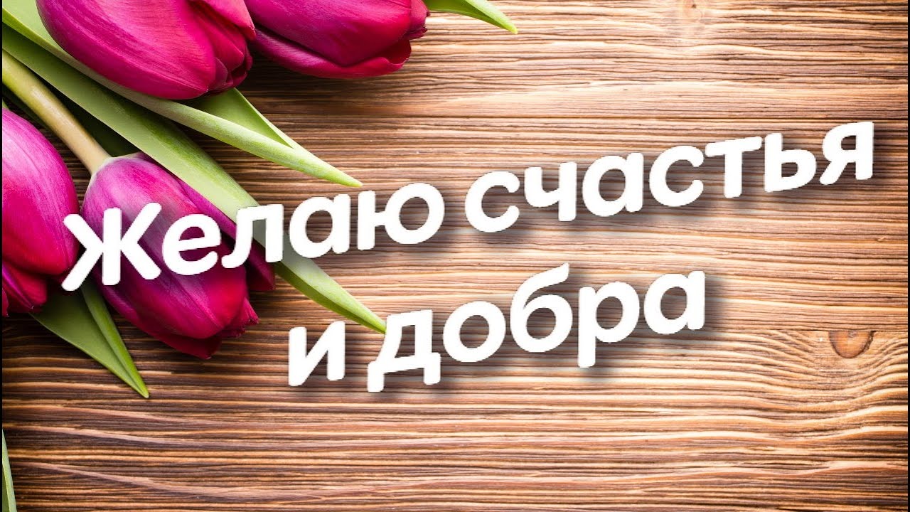 Только вам желаю всего доброго. Только вам желаю всего доброго