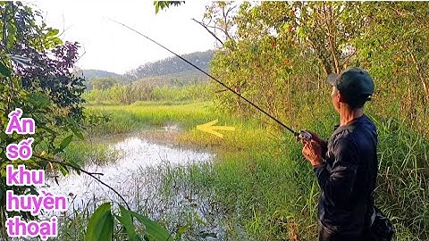 Câu cá lóc_Hành trình săn hàng Hugo(p46)@Hữunghị tv