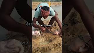 Il pêche avec un POULET entier, on dirait que c'est faux...