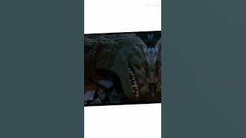 Evolution of Godzilla junior #edit