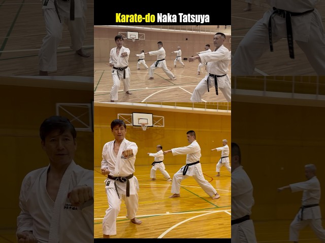 Budo Karate, Naka Tatsuya sensei .""Taishi-juku" @Karate-doTaishijuku