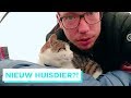 NIEUW HUISDIER 😺 EN LUXE HOTEL FIXEN | D TOUR #4