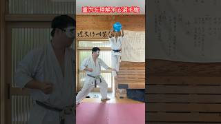 【武道・武術】誰が1番重力に対応することができるか！？加速度読み選手権！！#aikido  ＃karate #martial #武道 #空手＃筋トレ