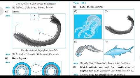 Animal classification class 10th | Question and answer Exercise chapter 6 Science part 2,B