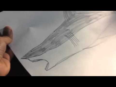 how to draw a megalodon - YouTube