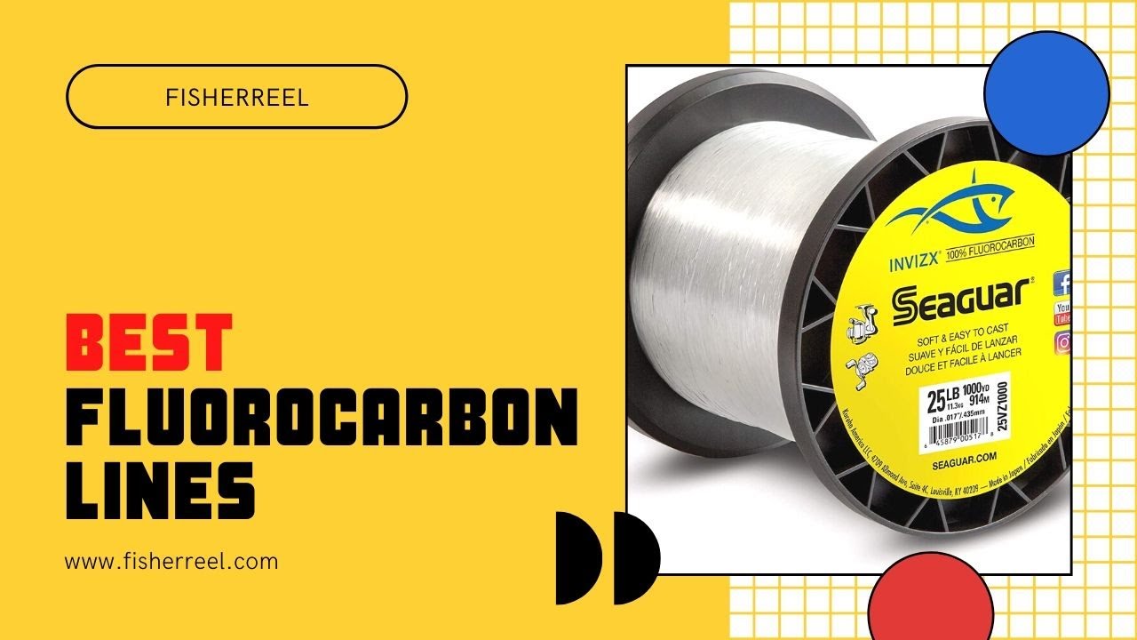 Top 10 Best Fluorocarbon Lines  Reviewed by Pros Updated 2022