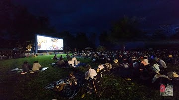 012 ビバ！シネマ！「恋とニュースのつくり方」チームSGWの自由猫  番外編 #映画