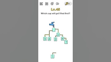 Brain out level 45 answer or solution