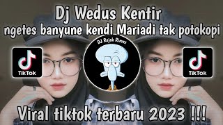 DJ NETES BANYUNE KENDI MARIADI TAK POTOKOPI - DJ WEDUS KENTIR VIRAL TIKTOK || DJ VIRAL TIKTOK 2023