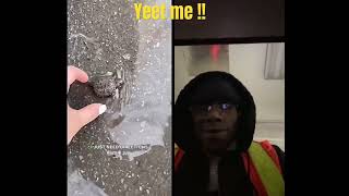 Yeet me #colab #fyp #wildlife #duet #Turtle #Travel #youtubeviralshort
