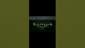 وقال فرعون .من سورة غافر | القارئ خالد الجليل 🥰 #حالات #quran #قران #قرآن #قرآن_كريم #تلاوات_خاشعة