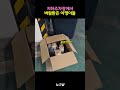 지하주차장에서 만난 새끼 고양이들