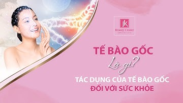 TẾ BÀO GỐC LÀ GÌ | TÁC DỤNG CỦA TẾ BÀO GỐC TRONG HỖ TRỢ VÀ CHĂM SÓC SỨC KHỎE | PHÒNG KHÁM JK