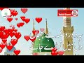 Ye Wo Raoza Hai Jahan Dil Nahi Tode Jate || Asad Attari || Heart Touching Whatsapp Status Video || Whatsapp Status Video Download Free