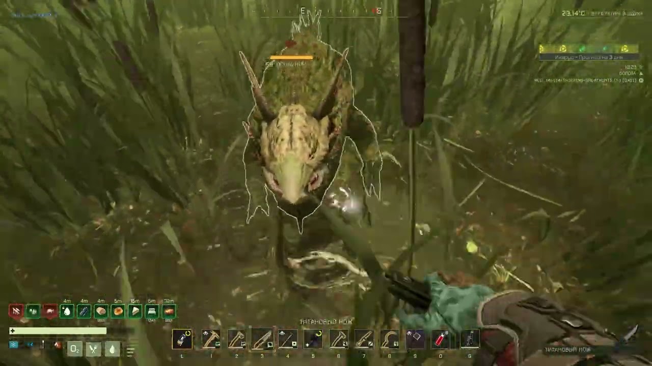 Молотоголовый