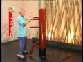 中國武術之詠春 木人樁系列 第一集