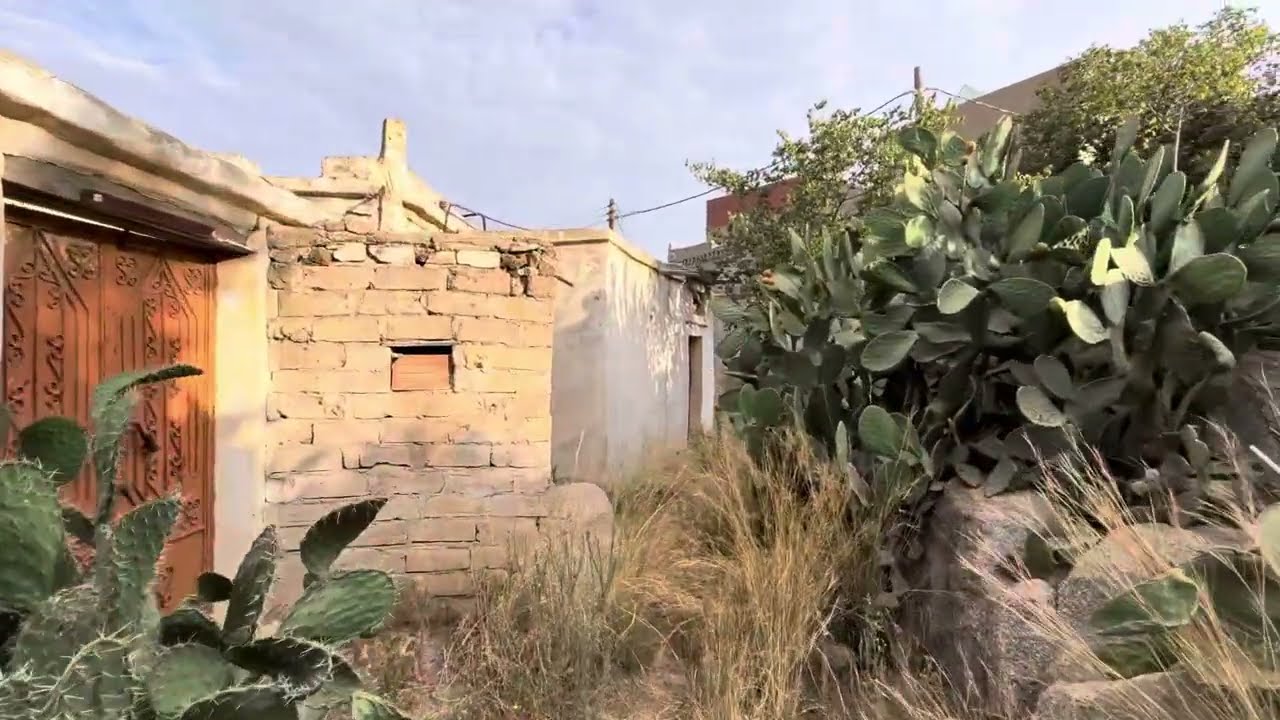 جولة في الدار القديمة قرية شعب الفقها في بلجرشي