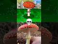 The Fly Agaric рџЌ PVZ Pvz Plantsvszombies The Fly Agaric рџЌ PVZ Pvz Plantsvszombies