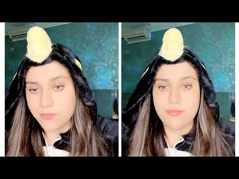 كوبرا مع بوب عشوائي كوريين جولات اعياد مع فيتين و ليو ختامها مع فيتين