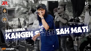 Dini Kurnia  Kangen Setengah Mati  New Raxzasa  Pemuda Kedunen Selatan Bersatu